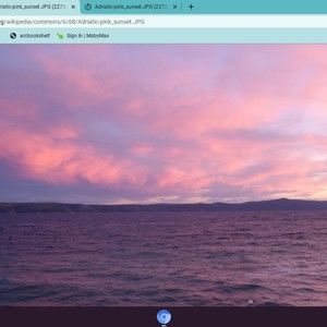 Meet your Posher, Randie